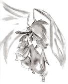 Windy