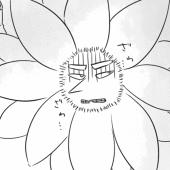 一畳