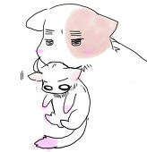 めーこ