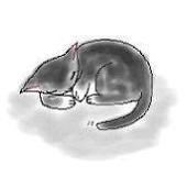 夢見猫うかあ(ukah)