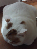 阿久多のえ