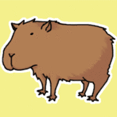 岬