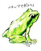 半畳