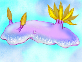 海うし