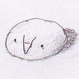 N.Kotono