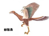 多賀氏