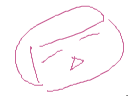 しおん