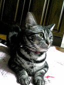 たまき