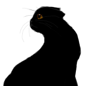 yoku