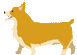 皐月
