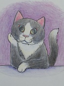 黒猫侍