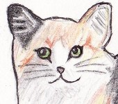 あきちゃん