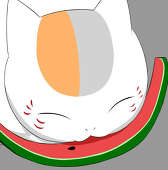 黒猫