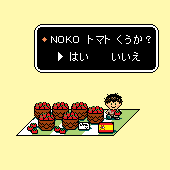 のこ