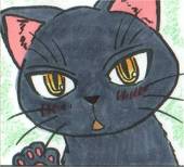 橙熊猫
