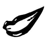 ちょこい