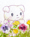 まみこ