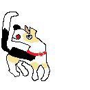 (ゅﾟДﾟ)