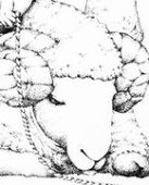 かよう りん