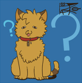 野