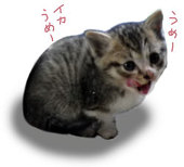 ただを