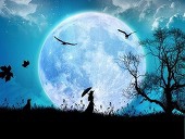 蓮夜