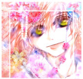 桜珠花*