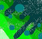 fish0079