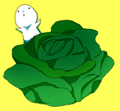 mizuiro