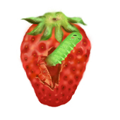 l0_0lまや