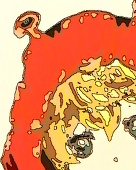00
