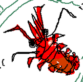 えび