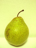 まつ