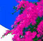 おかやす