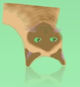 フナフナ
