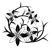 紫月