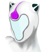兎角