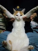 時雨 輝