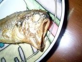 GodFish