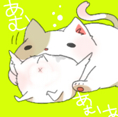 黒米