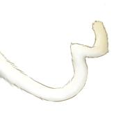 稲尾