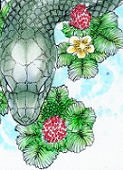 からぎ（空木）