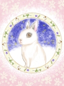 シロ