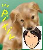 イカサマ