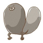 保紫カルア