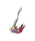 Dのひと｝(-┏ )
