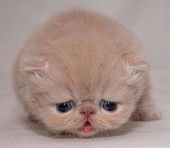 123150