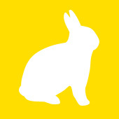 f-bunny