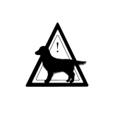 コタヌ