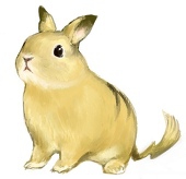 あやこ